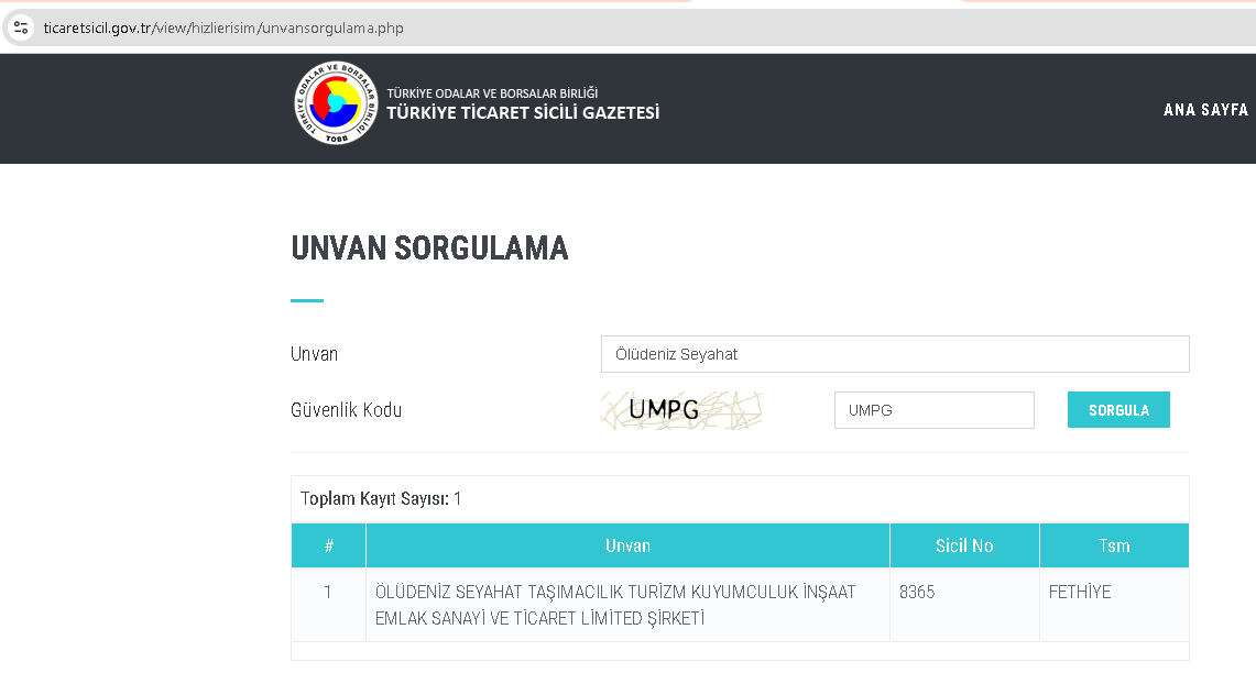 Türkiye Ticaret Sicili Gazetesi Kayıt Ekranı